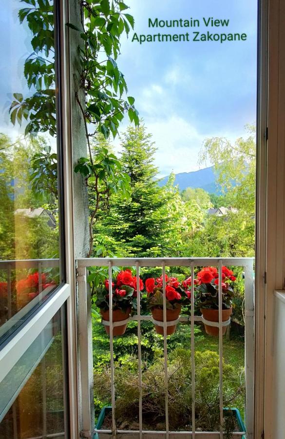 Mountain View Apartment זקופאנה מראה חיצוני תמונה