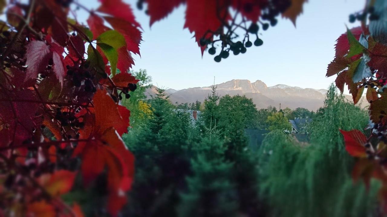 Mountain View Apartment זקופאנה מראה חיצוני תמונה