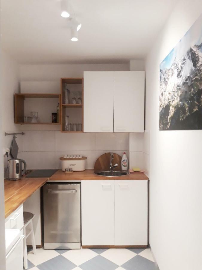 Mountain View Apartment זקופאנה מראה חיצוני תמונה