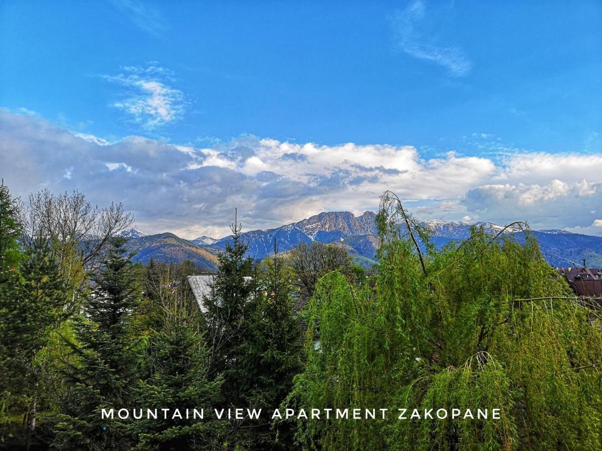 Mountain View Apartment זקופאנה מראה חיצוני תמונה