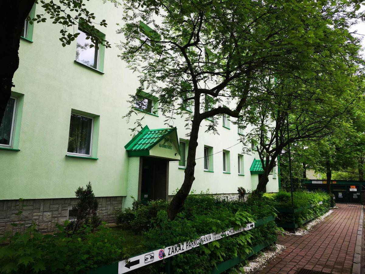 Mountain View Apartment זקופאנה מראה חיצוני תמונה